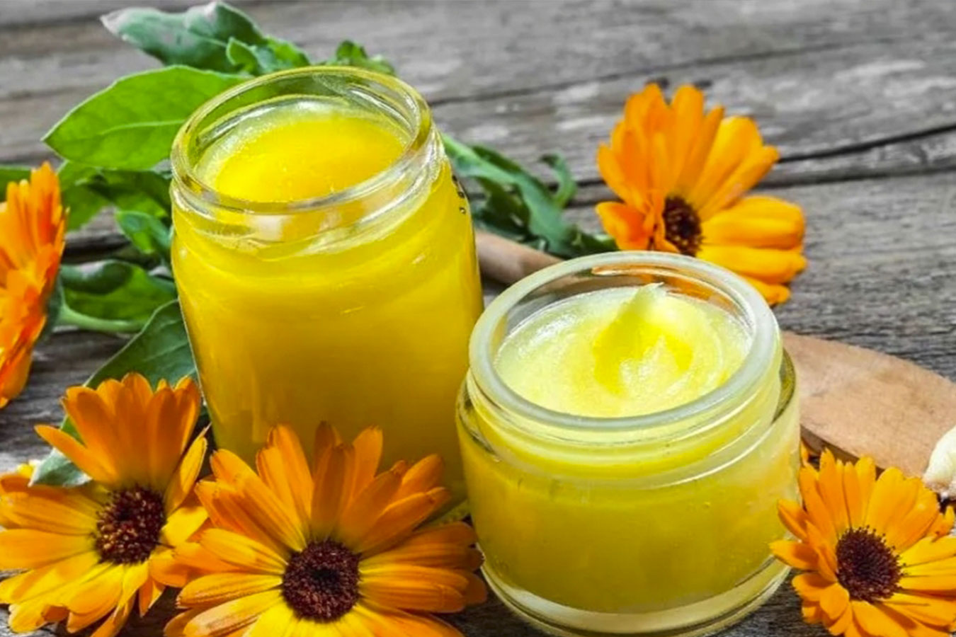 Curso Ungüentos Medicinales Naturales